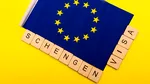Cu ce planuri intră în noul an transportatorii rutieri de mărfuri? “Tatonăm opţiunea să ieşim peste graniţe dat fiind intrarea în Schengen terestru”