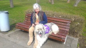 Povestea lui Kratu, metisul mioritic abandonat în România, care a devenit câine de terapie pentru stăpâna lui: O dată în viaţă se întâmplă să întâlneşti un aşa câine / Azi e celebru în Marea Britanie | GALERIE FOTO