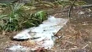 Un avion al armatei nigeriene s-a prăbușit în apropierea unei baze navale. La bord se aflau 32 de persoane