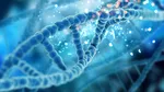 Biologul Craig Venter, pionier în secvențierea genomului uman, a murit la vârsta de 79 de ani