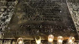 Fost membru al trupelor naziste SS, acuzat de moartea a 170.000 de persoane în lagărul din Auschwitz. Va fi probabil ultimul proces de acest fel