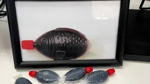 Primul loc din lume care interzice vestitele dozatoare de sos de soia din plastic în formă de pește