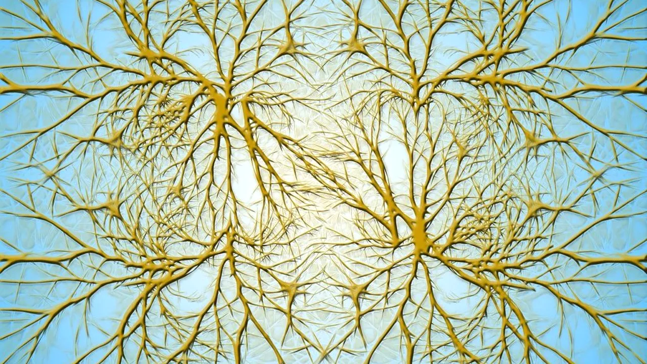 Exercițiile mentale sunt secretul protejării minții împotriva demenței