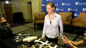 Oamenii de ştiinţă s-au inspirat din universul termitelor pentru a fabrica roboţi-constructori