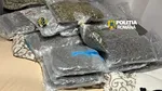 Zeci de kilograme de canabis, descoperite într-o locuință din Cluj-Napoca