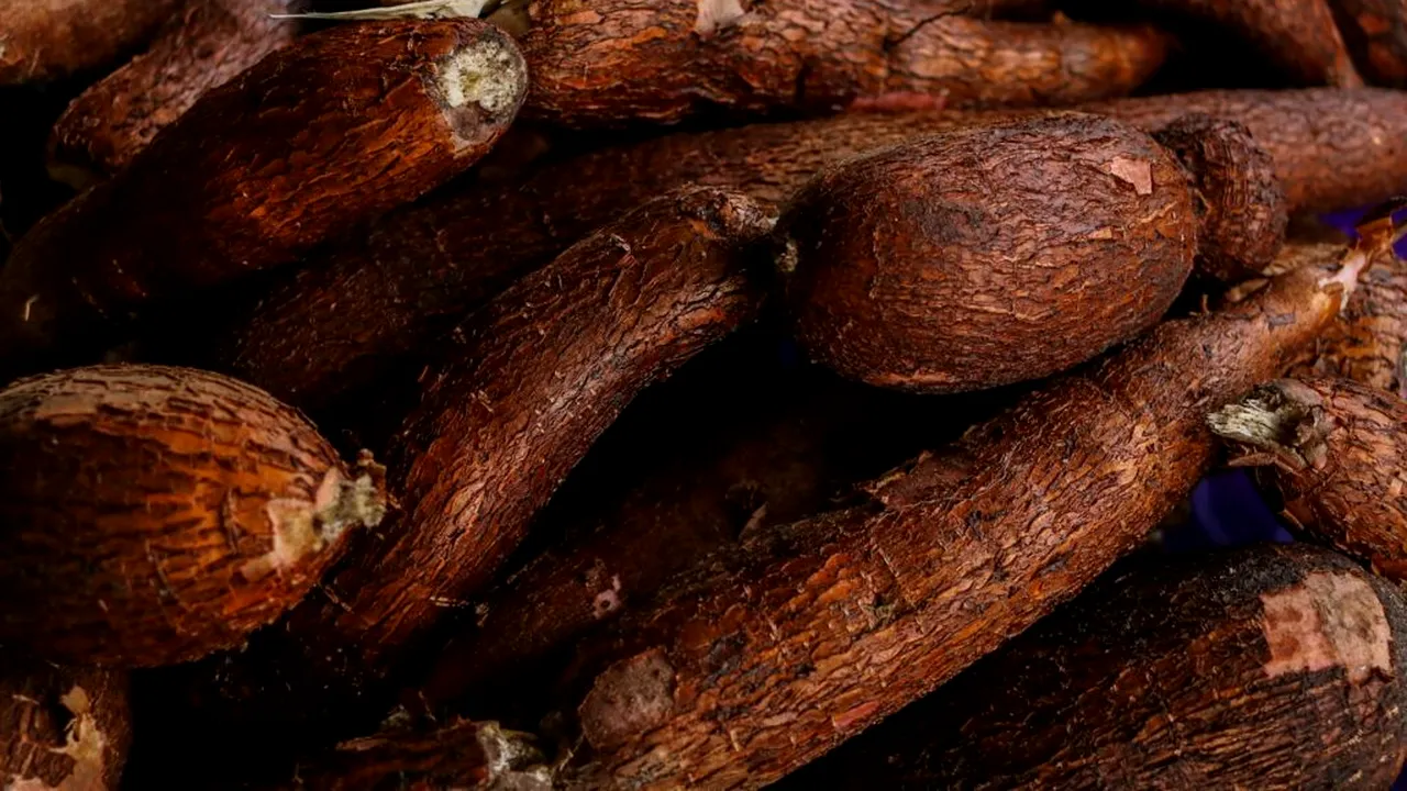 Alimentul consumat de spanioli toamna care înlocuiește cartoful și protejează mușchii și sistemul nervos