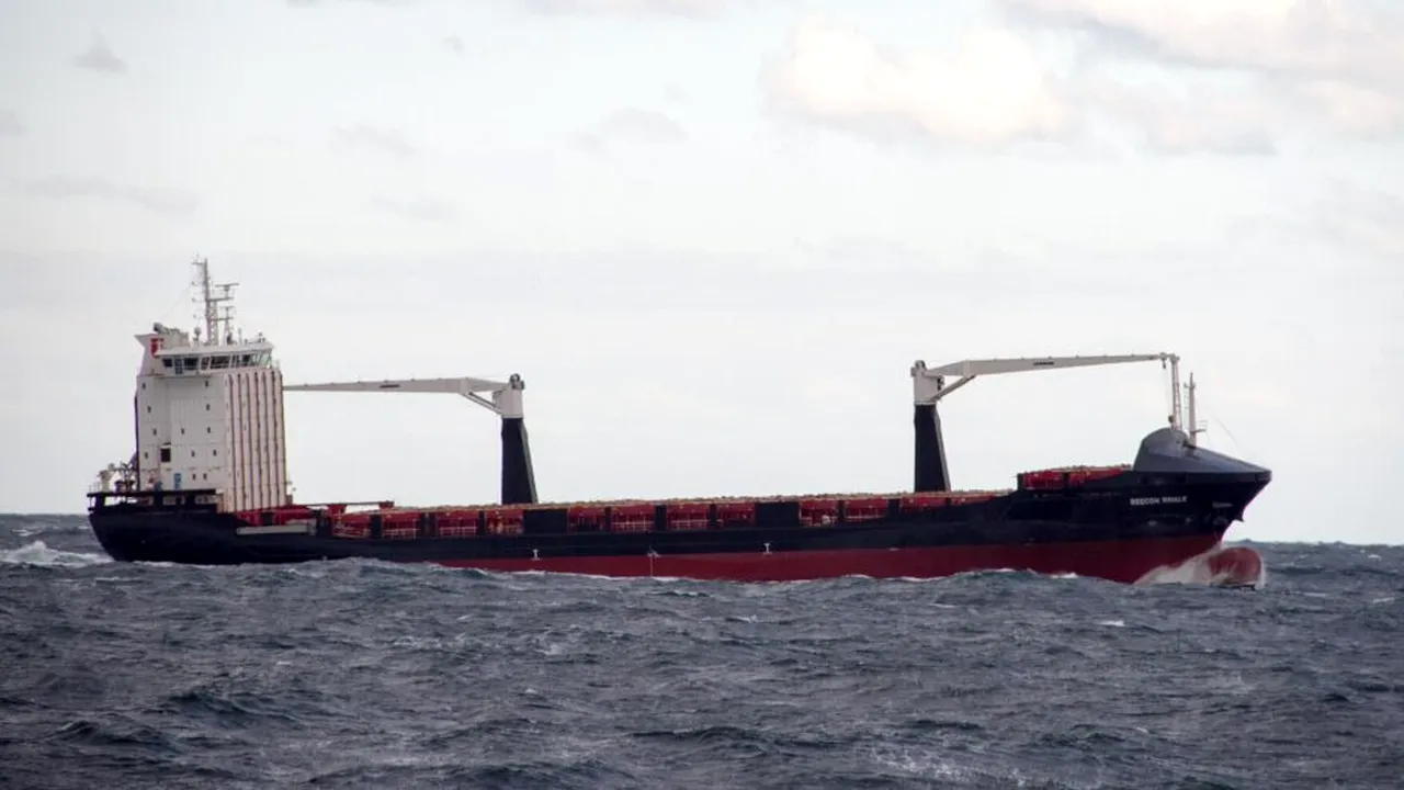 Bulgaria cere încetarea ostilităților în Marea Neagră. Consultări urgente cu România și Turcia