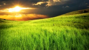 Vremea din România, la extreme: În Vestul ţării vor fi temperaturi de până la 35 de grade Celsius; Estul, sub ploi torenţiale