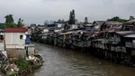 Un pește s-a adaptat râurilor poluate din Indonezia. Răspunsul unui activist: „Este complet nebunesc”