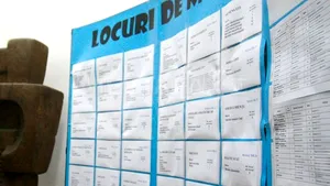 Circa 20.400 de locuri de muncă vacante în trimestrul al patrulea, cele mai multe în industrie