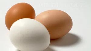 STUDIU: Şapte beneficii ale gălbenuşurilor