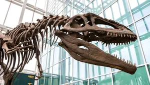 O fosilă uitată într-un sertar timp de 40 de ani s-a dovedit a fi primul os de dinozaur din Antarctica