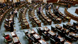 Bodea (PNL): Nu toţi senatorii PNL au votat pentru Vosganian, responsabilitatea este împărţită