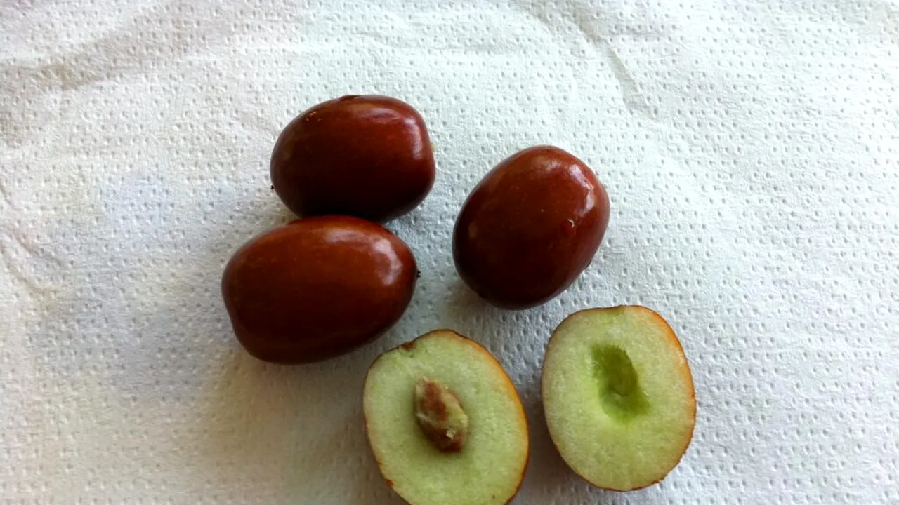 Fructul cultivat de mii de ani, redescoperit de italieni. Ce efecte are asupra digestiei și imunității