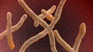 STUDIU Unul din 500 de bărbaţi are un cromozom în plus, ceea ce înseamnă un risc mai mare de afecţiuni