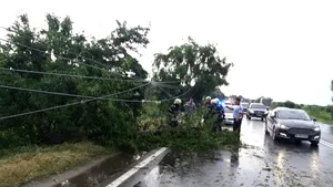 FOTO Mai mulţi copaci au fost doborâţi pe DN 6, în judeţul Giurgiu, din cauza vântului şi ploilor puternice 