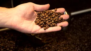 Cum încearcă Marea Britanie să stimuleze industria cafelei. Beneficiile semnării unui acord global