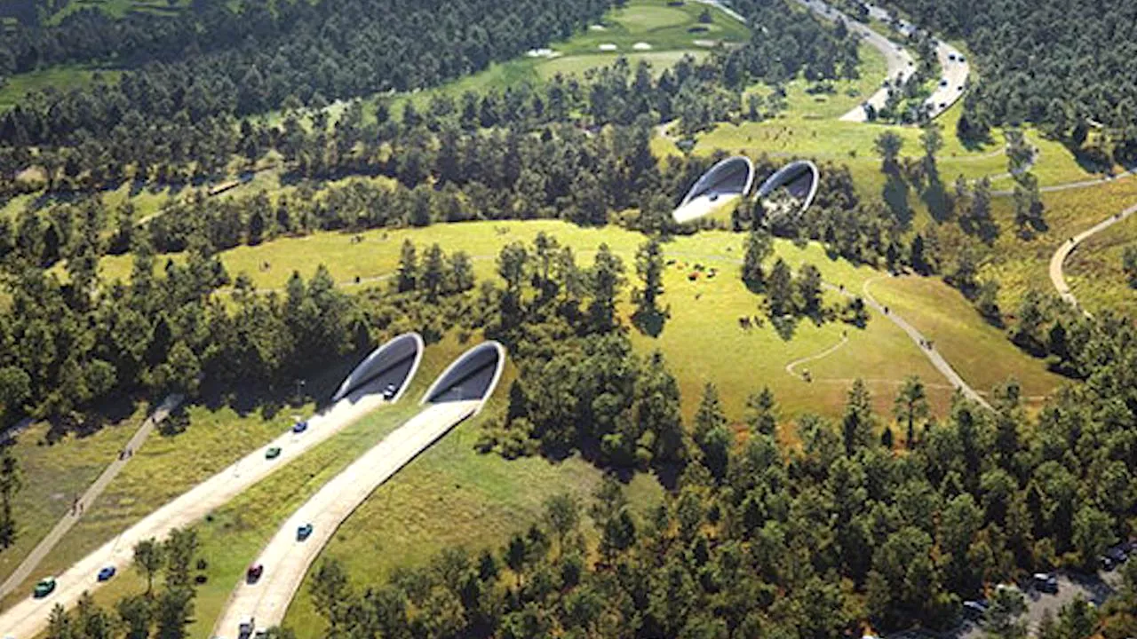 O autostradă cu şase benzi a fost construită sunt un parc urban pentru animale sălbatice


