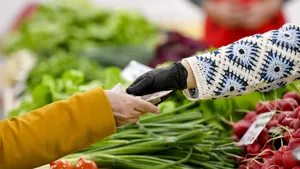 Consiliul Concurenței lovește giganții din agricultură: 21 de companii, amendate cu 83,2 milioane de lei. Prețurile erau fixate pentru fermieri