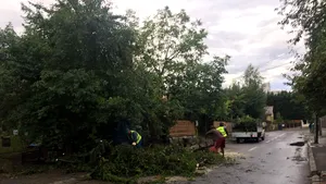 FOTO | FURTUNILE fac ravagii în ţară: Vântul puternic a smuls acoperişul pieţei din Petroşani/ Copaci căzuţi pe un spital din Târgu-Mureş. Pagube majore şi în Braşov, Cluj, Teleorman şi Argeş
