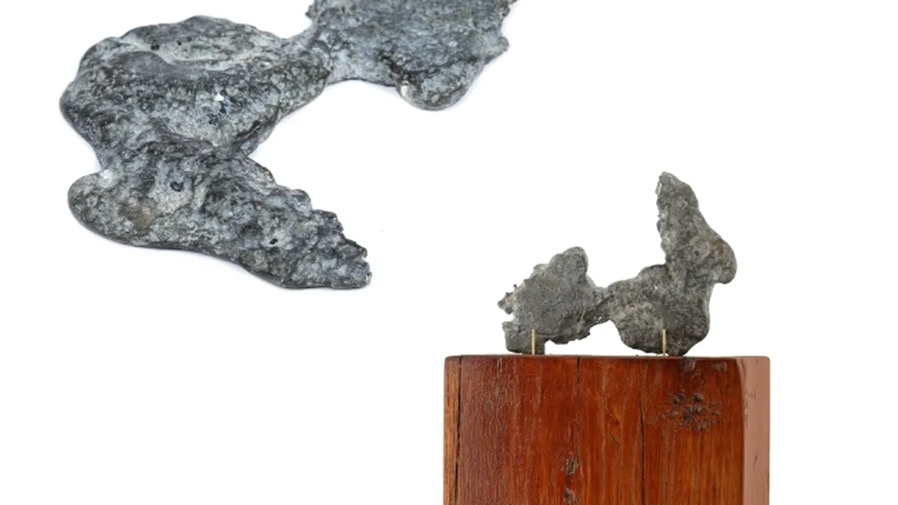 Lucrarea „Le Crocodile