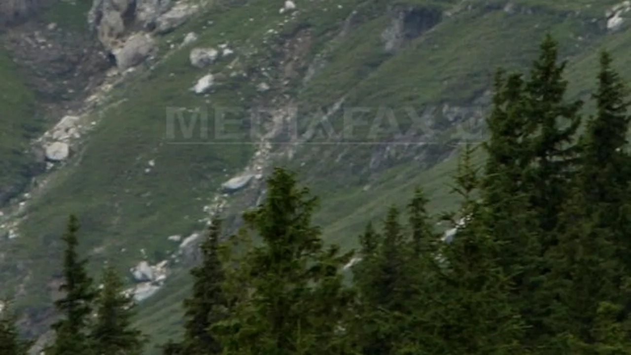 Alpinist experimentat, rănit pe un traseu foarte dificil din Masivul Bucegi
