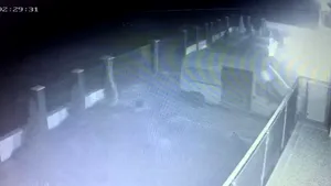 Familie din Craiova, atacată cu cocktailuri Molotov pentru o datorie la poker. Suma pe care încercau să o recupereze agresorii. VIDEO