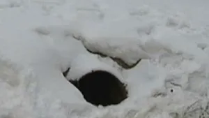 Surpriza din conducta de scurgere. Descoperirea la care oamenii nu s-au aşteptat - VIDEO