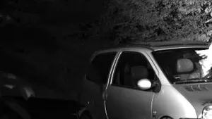 Cel mai NOROCOS vitezoman din lume. Cum a scăpat un şofer de amendă, după ce a fost surprins de radare/ Poliţia: Noi credem că a intervenit o putere divină | FOTO