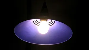 Val de căldură fără precendent. Milioane de japonezi sunt rugaţi să facă economie la energie electrică