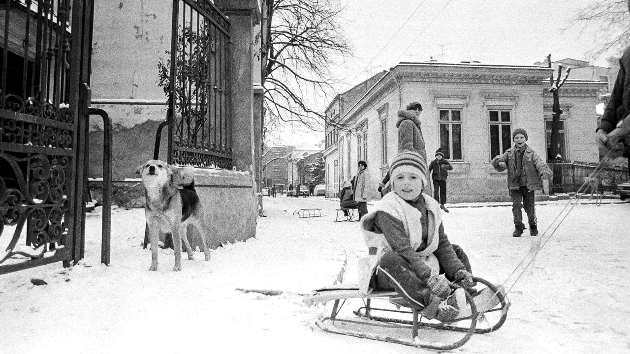 „Ţara din care venim. Primii 35 de ani”. O expoziţie provocatoare, care explorează memoria recentă