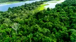 Primele indicii privind existența unor zăcăminte de petrol în largul Amazonului. O țară și-ar putea întări securitatea energetică