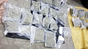 Droguri în valoare de peste 200.000 de euro, descoperite în urma unui flagrant în vama Borş