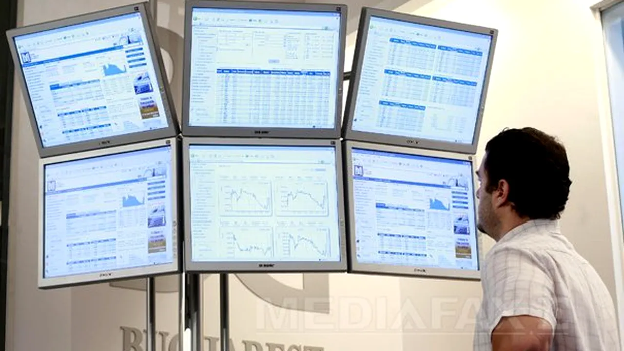 CONFERINŢA Mediafax Talks about Energy: Dumitraşcu, Departamentul pentru Energie - Investitorii români vor plasa 200-220 milioane de euro în acţiuni Romgaz