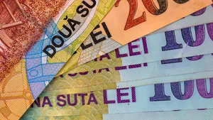 Una din 10 persoane fizice şi una din 10 companii cu credite au cerut amânarea ratelor