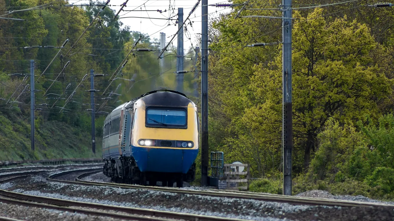 Trei persoane au murit după ce au fost lovite de un tren, la Londra