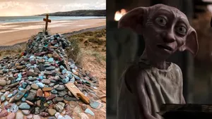 Fanii Harry Potter au deviat o conductă de milioane de lire, pentru a proteja „mormântul” lui Dobby