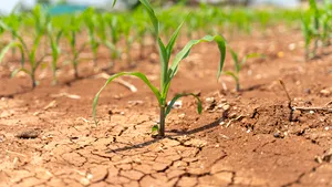 Clubul Fermierilor Români propune includerea în PNS, în eco-scheme