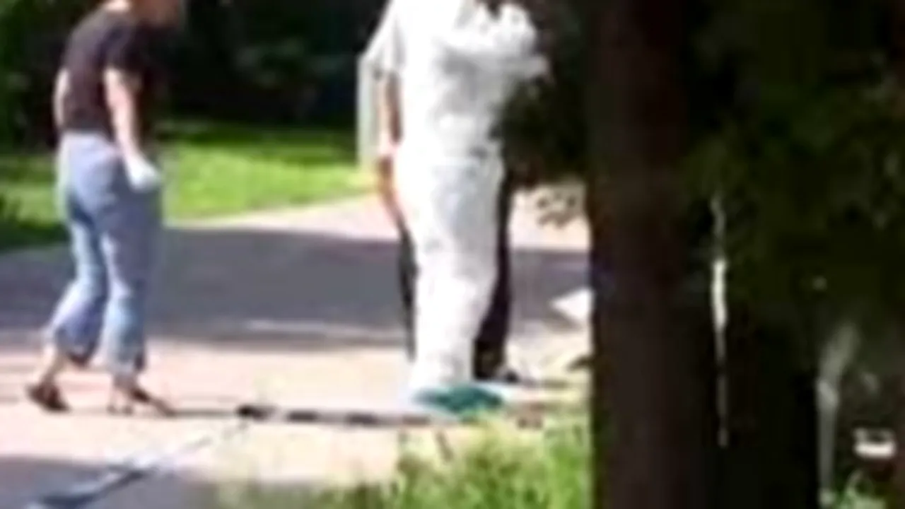 Baia Mare: Un bărbat fără adăpost a fost găsit mort
