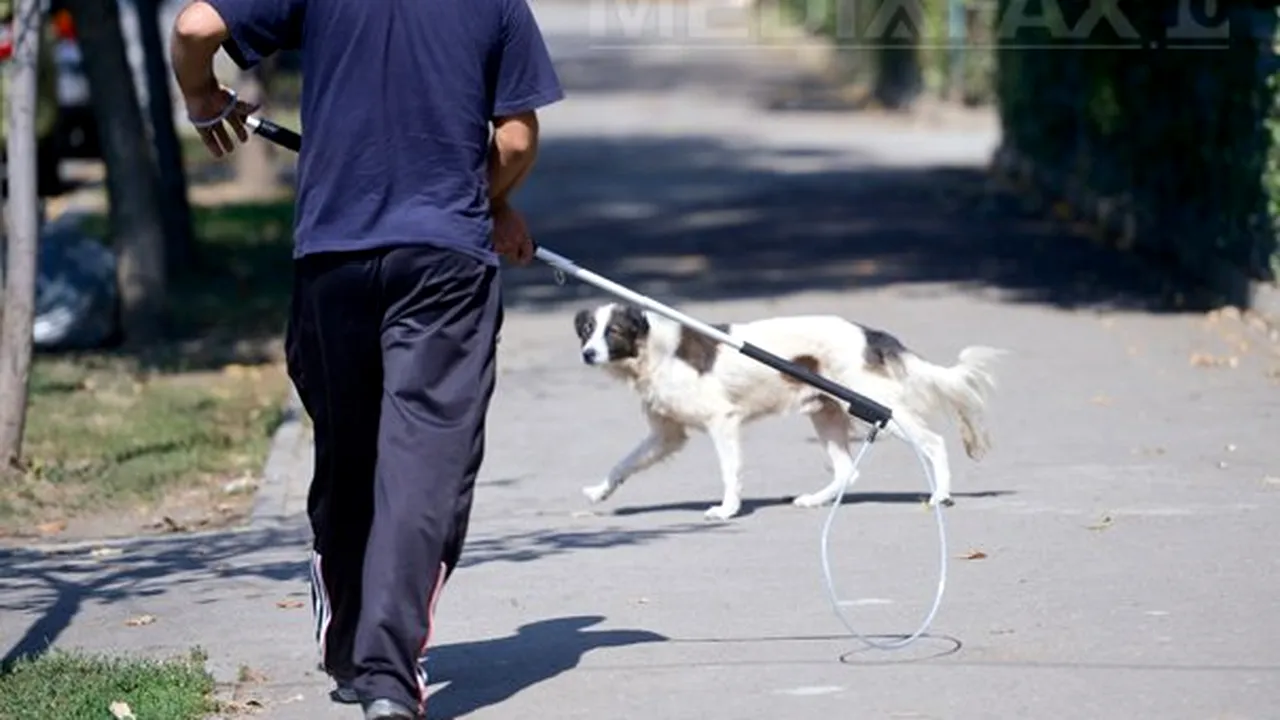 Oprescu: Iubitorii de animale să nu se impacienteze, deocamdată strângem câinii de pe străzi