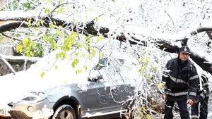 Maşini avariate la Braşov după ce au căzut peste ele copaci. Cinci străzi sunt blocate de arbori