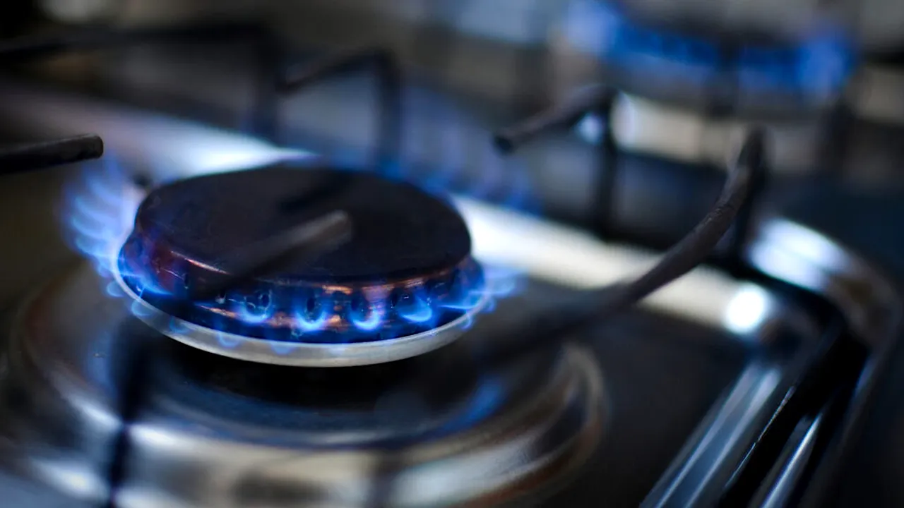 Românii vulnerabili vor putea primi 1.200 de lei pe an pentru energie și gaze, iar furnizorilor li s-au promis 6 mld. lei la buget. Proiectul schemei care va înlocui plafonarea - SURSE