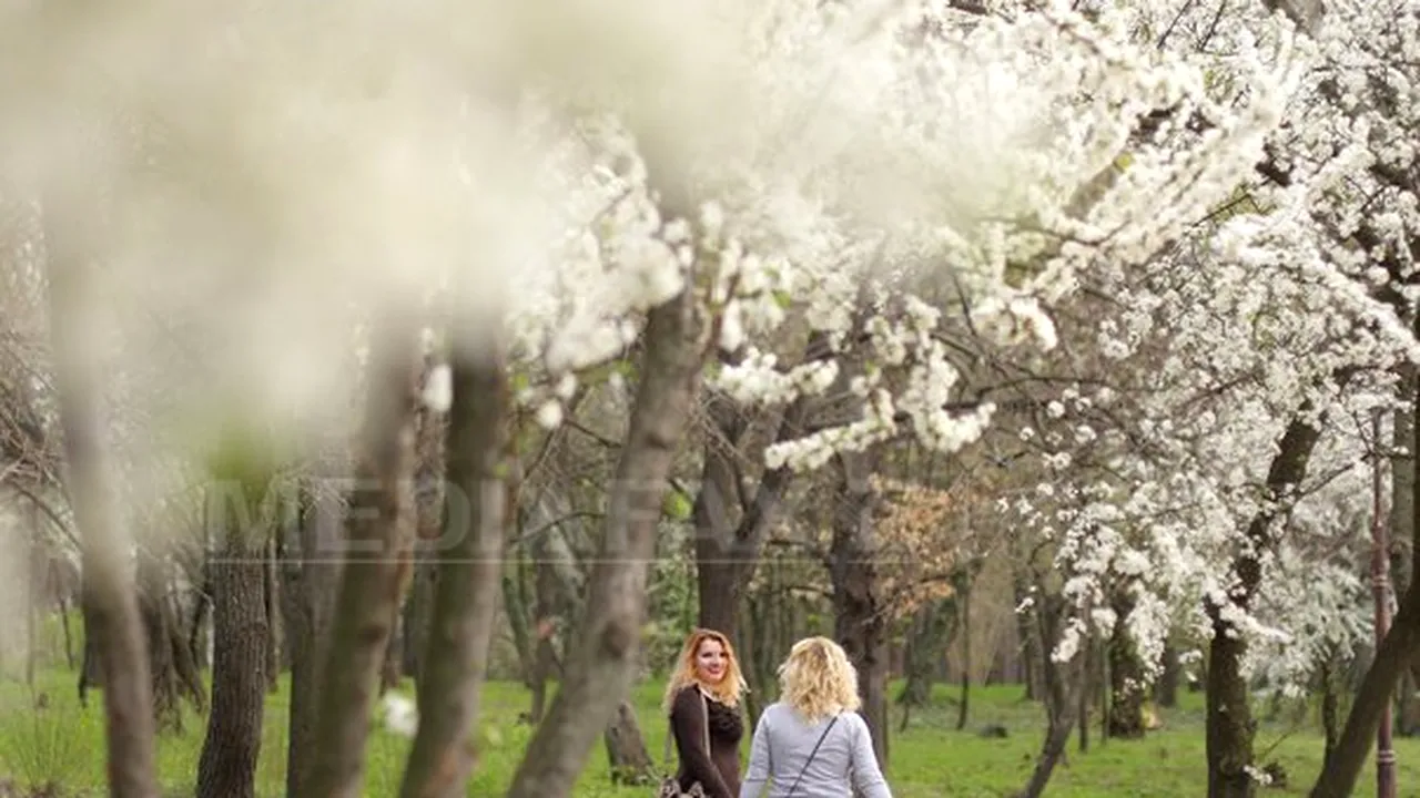 Prima zi de PAŞTE, la 25 de grade: Mii de bucureşteni au ieşit în parcurile Capitalei pentru a profita de vremea foarte frumoasă - FOTO
