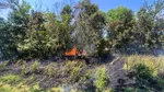 Intervenție grea a pompierilor în Iași, pe Dealul Copou, la cea mai mare grădină botanică din țară – Grădina Botanică „Anastasie Fătu” din Iași