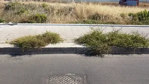 FOTO Zeci de români, evacuaţi dintr-o clădire, din cauza unui incendiu de vegetaţie, în sudul Italiei 