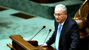 Haşotti: Declaraţia despre originea animală nu se referea la Anastase, ci la deputaţi PDL