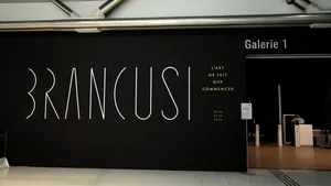 CULTURĂ Lucrări rare ale lui Brâncuși, expuse la New York. MoMA reconstruiește universul atelierului de la Paris