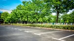 De ce parcările din Italia au trei culori