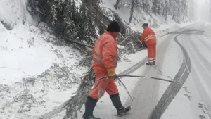 Traficul rutier a fost oprit pe un drum naţional din cauza copacilor încărcaţi de zăpadă