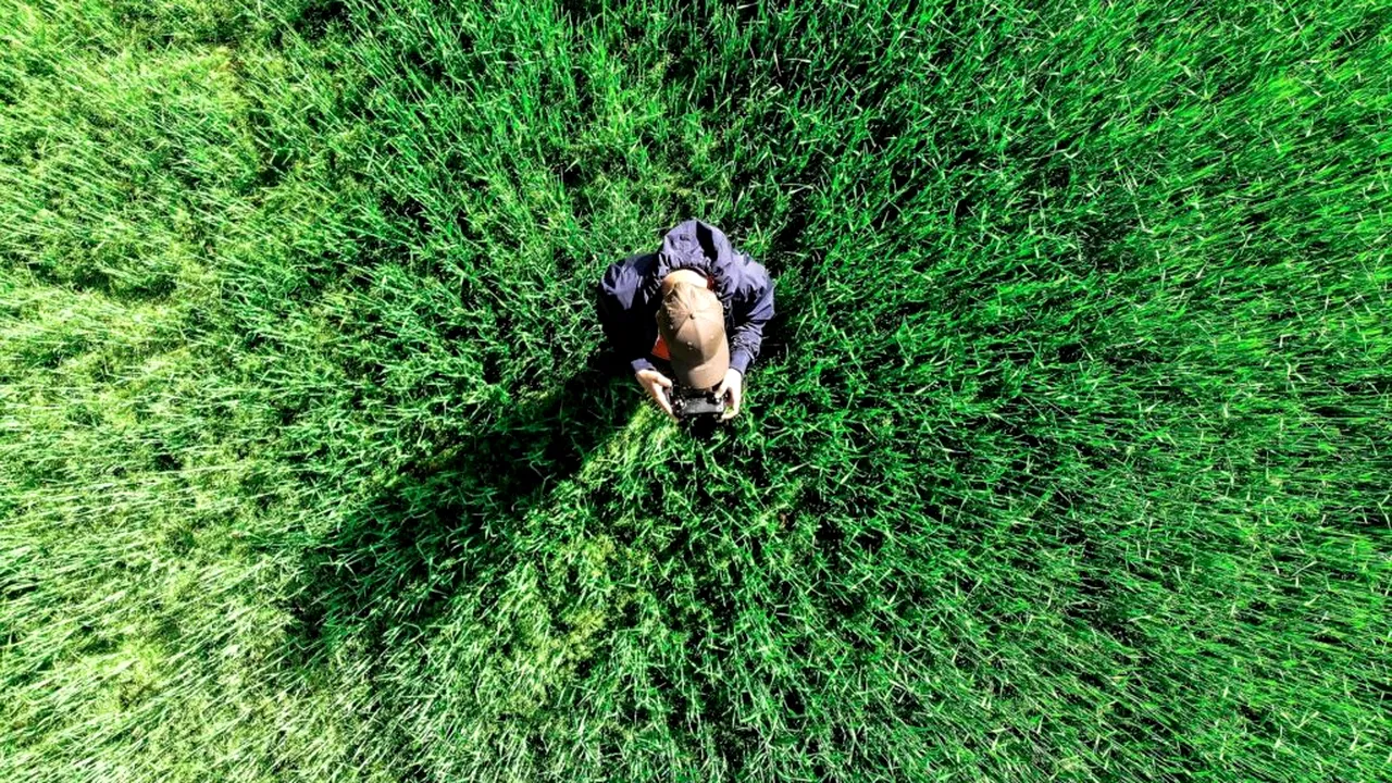 Meserii din viitor recunoscute în România / Pilotul de dronă și bioinformaticianul pot să aibă carte de muncă